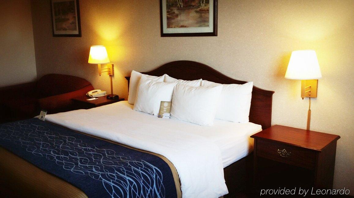 Comfort Inn Tacoma Kültér fotó